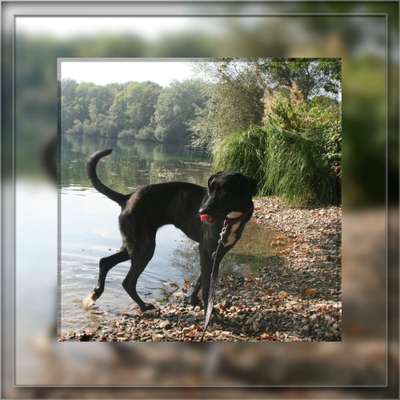 Vorher.... Nachher-Beitrag-Bild