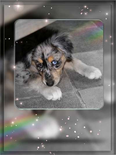 Vorher.... Nachher-Beitrag-Bild