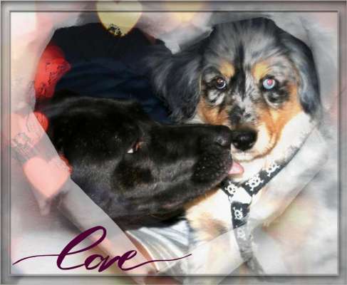 Vorher.... Nachher-Beitrag-Bild