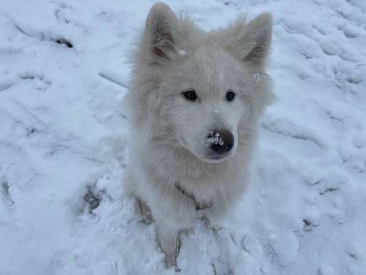 Handyfoto Challange  - Winter,Schnee-Beitrag-Bild