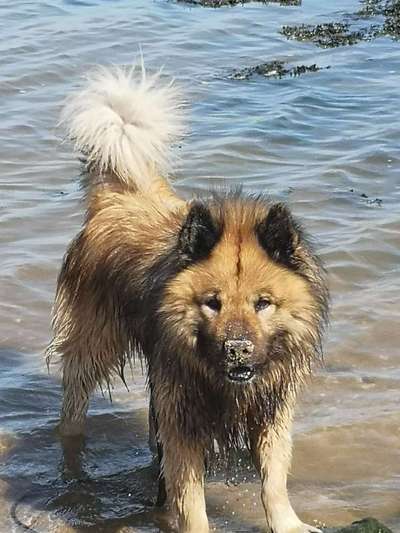 Eure Strandbilder :)-Beitrag-Bild