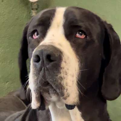 Suchmeldung-Arco-Bild