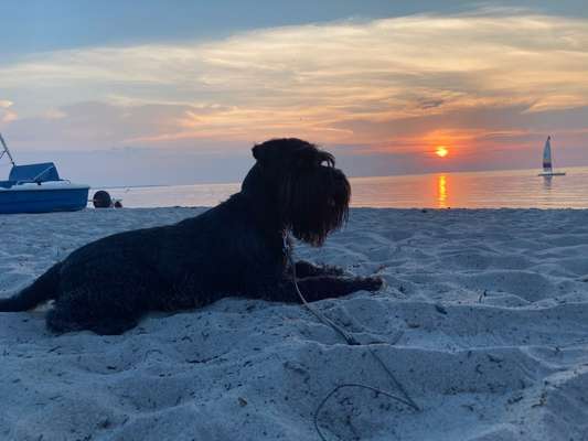 Sonnenaufgänge oder - untergänge-Beitrag-Bild
