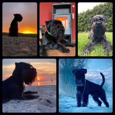 32. Collagen Challenge - eure liebsten gestellten Fotos-Beitrag-Bild