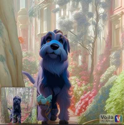 Voila app Bilder-Beitrag-Bild