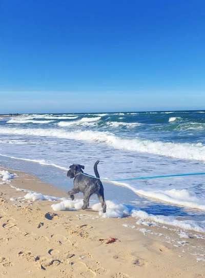 35. Handy Foto Challenge - Das nasse Element-Beitrag-Bild