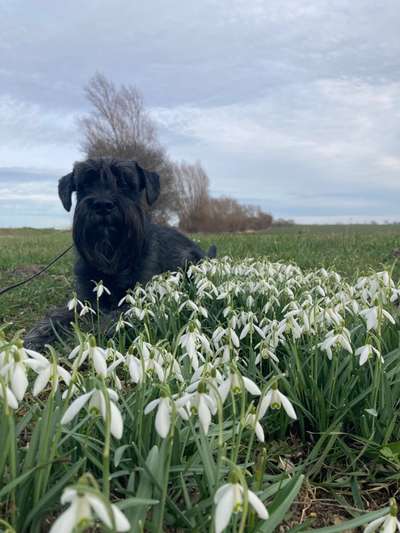 Fotochallenge Nr. 126-Beitrag-Bild