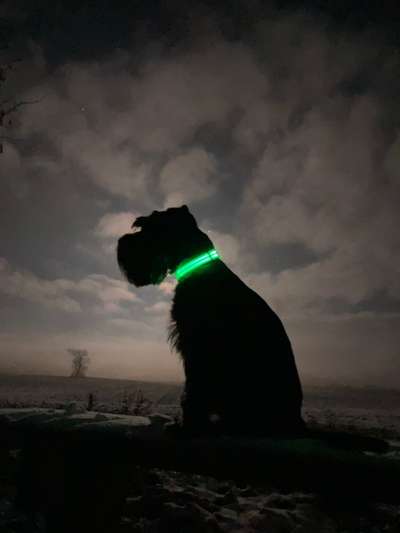 118. Fotochallange-Beitrag-Bild