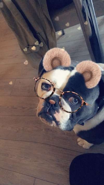 Lieblingsbild-Beitrag-Bild