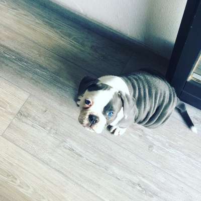 Lieblingsbild-Beitrag-Bild