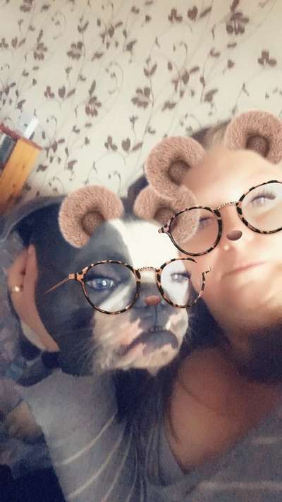 Lieblingsbild-Beitrag-Bild