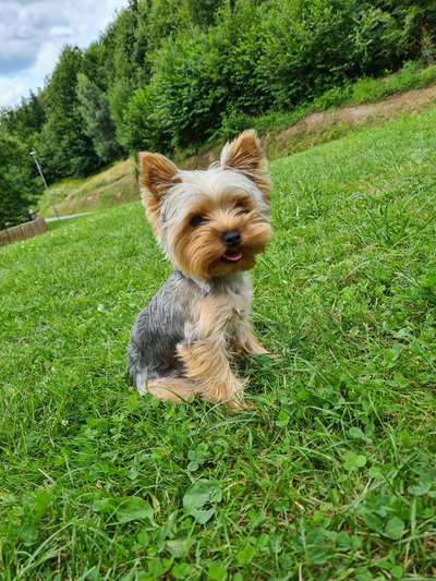 42.Fotochallenge - Eure schönen Momente beim Spaziergang-Beitrag-Bild