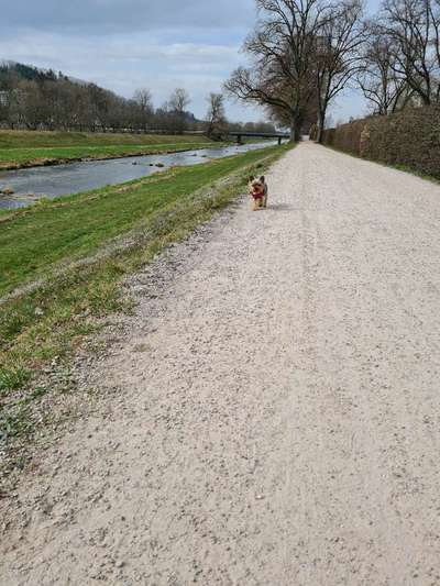 Dogorama-Monats-Challenge-Mai "Wasser"-Beitrag-Bild