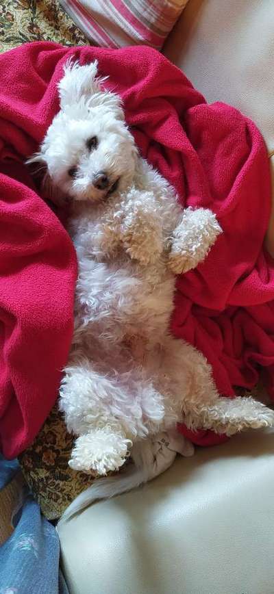 Foto Challenge - Zeigt her eure Bäuche-Beitrag-Bild