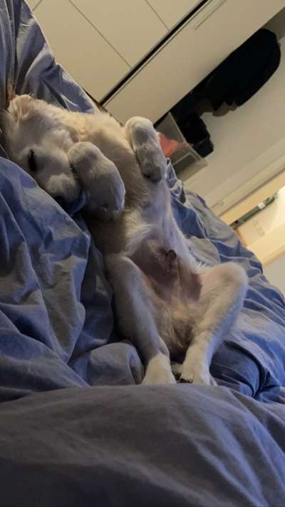 Die unbequemsten und lustigsten Schlafpositionen-Beitrag-Bild