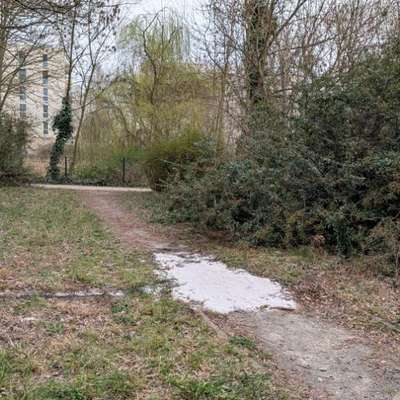 Giftköder-Verdächtige Substanz (oder Sand)-Bild