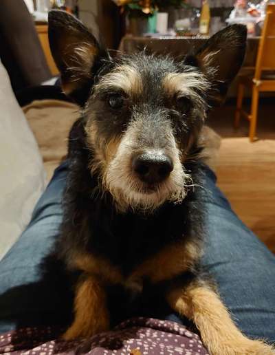 Fotochallange Nr. 57     PORTRÄT.   Beendet!!!!!!!!-Beitrag-Bild