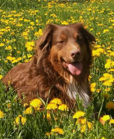 Fotochallenge 78

Es grünt und blüht-Beitrag-Bild