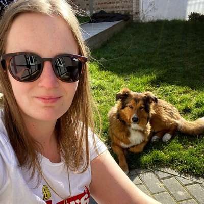 Hundetreffen-Spaziergang und Hundemädels Freundschaften ohne zwingenden Hundekontakt