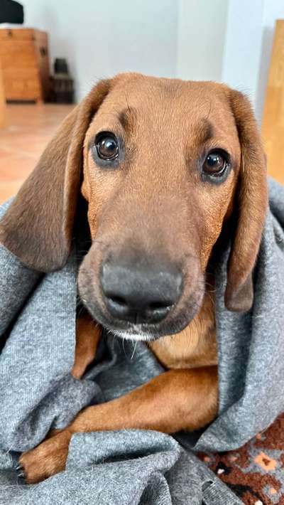 147. Foto Challenge: Bettelblick-Beitrag-Bild