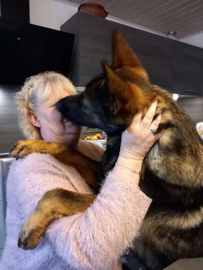 63. Handyfotochallenge   * Nase dran ! *-Beitrag-Bild