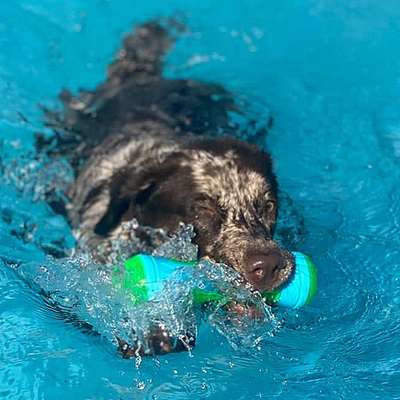 35. Handy Foto Challenge - Das nasse Element-Beitrag-Bild