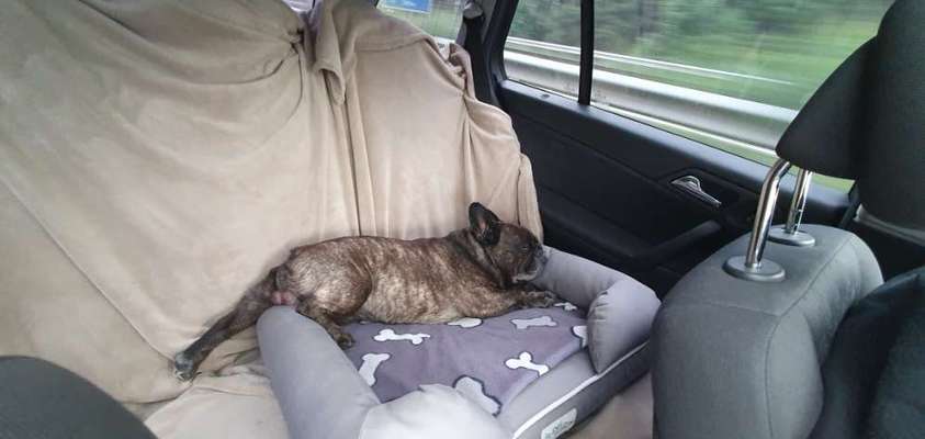 CHALLENGE NR. 18 - ON TOUR-Beitrag-Bild