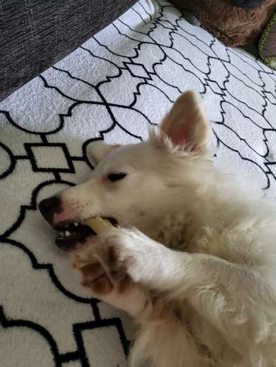 Theos  Fotochallenge Nummer 2-Beitrag-Bild