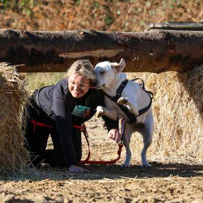 Mit oder ohne Leine?-Beitrag-Bild