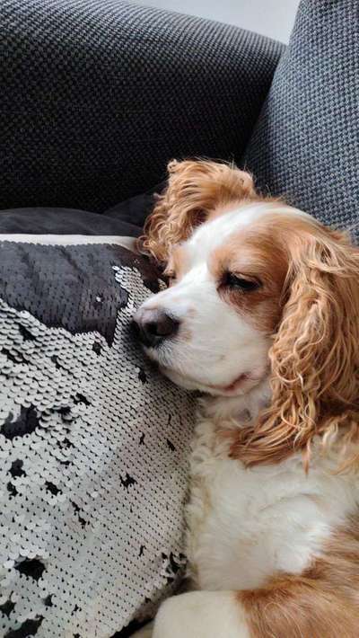 Lieblings Schnappschuss?-Beitrag-Bild