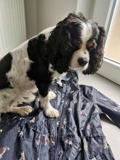 Lieblings Schnappschuss?-Beitrag-Bild