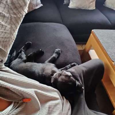 Kann Kuscheln erlernbar sein?-Beitrag-Bild