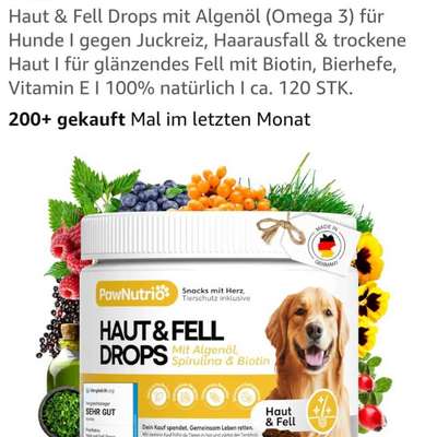 Gutes Trockenfutter bei Unverträglichkeit für Junghund/Labrador-Beitrag-Bild
