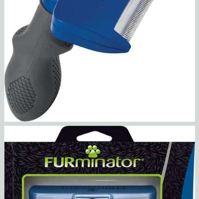 Bürste für Unterfell-Beitrag-Bild