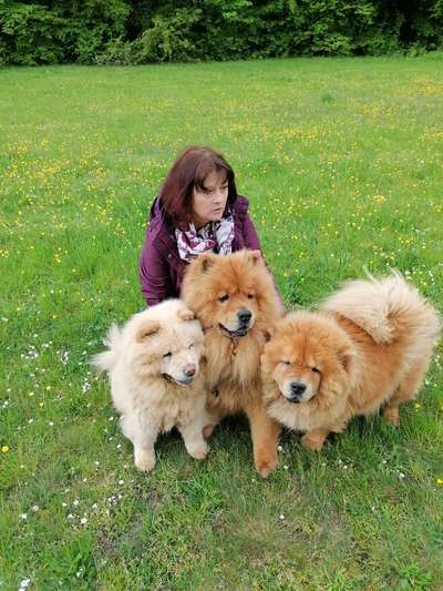 Wie wichtig ist euch das Aussehen eures Hundes?-Beitrag-Bild