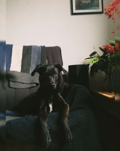 Lieblingsbild :D-Beitrag-Bild