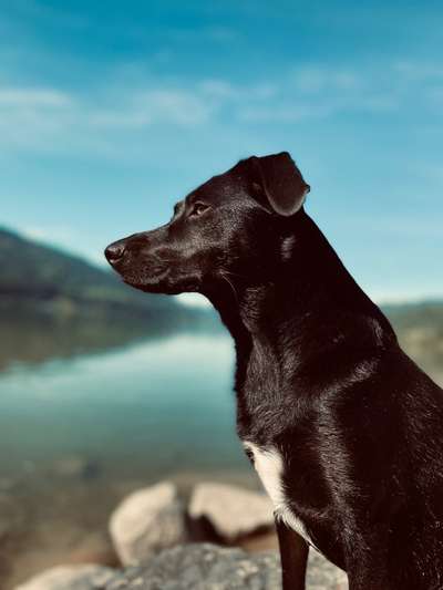 Doppelgänger gesucht !-Beitrag-Bild