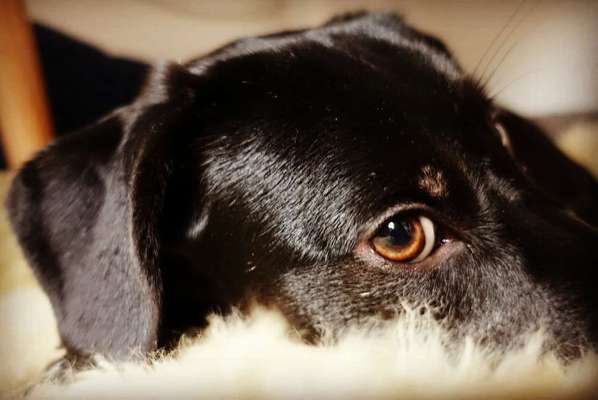 Blick fürs Detail!-Beitrag-Bild