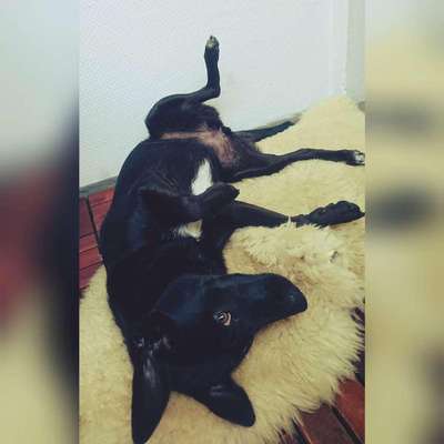 Doppelgänger gesucht !-Beitrag-Bild