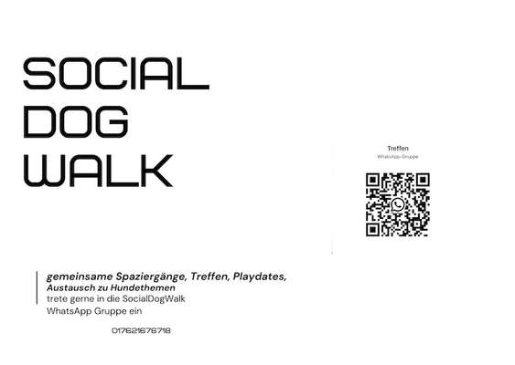 Hundetreffen-SocialDogWalk-Bild