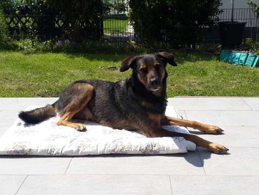 Challenge Nr 14
Eure Fellnasen auf ihrem Lieblingsplatz-Beitrag-Bild