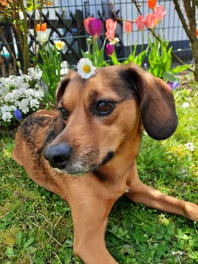 Fotochallenge No. 26                                     Wald und Wiese-Beitrag-Bild