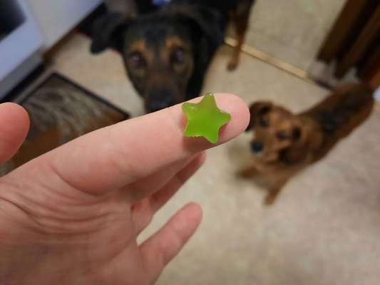 Heute gibt es.....der "ich mach die Leckerlis-Selber-Thread"-Beitrag-Bild