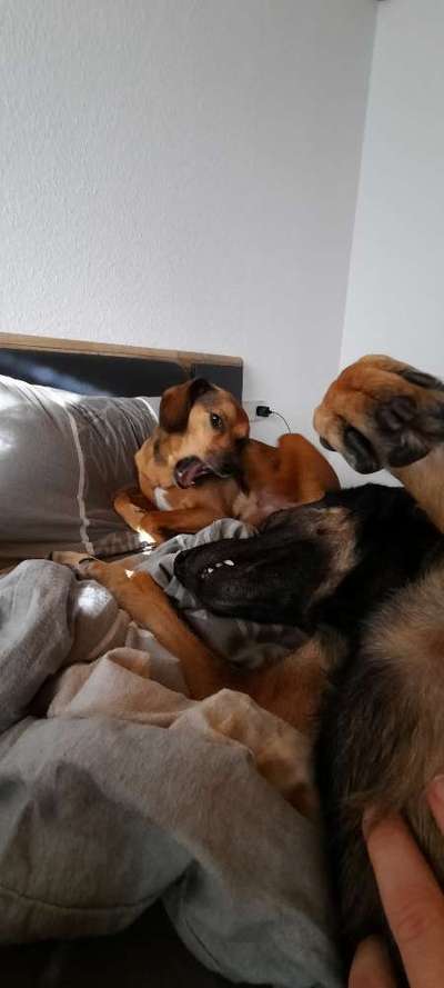 Fotochallange Nr. 6 Die irrsten Blicke-Beitrag-Bild