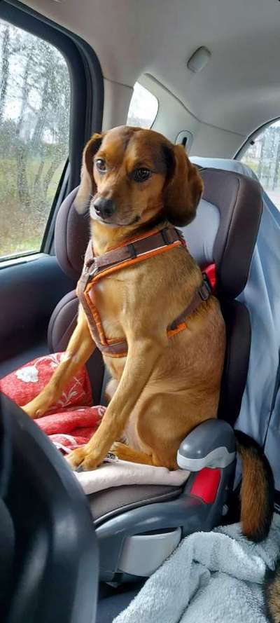 CHALLENGE NR. 18 - ON TOUR-Beitrag-Bild