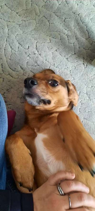 Fotochallenge No. 5-Beitrag-Bild