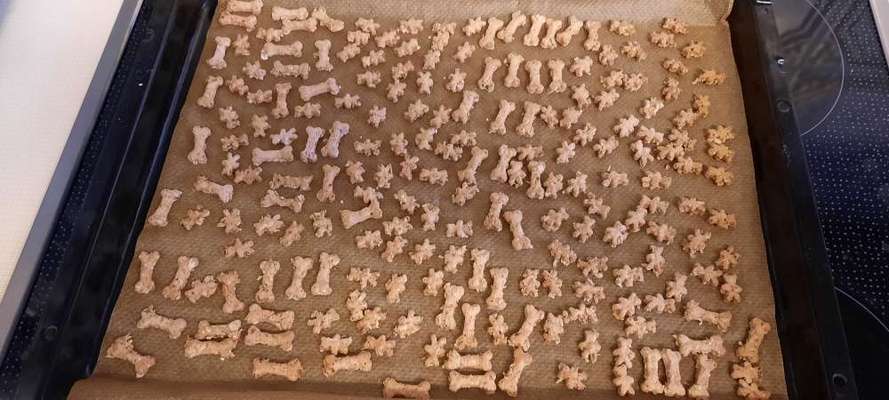 Heute gibt es.....der "ich mach die Leckerlis-Selber-Thread"-Beitrag-Bild