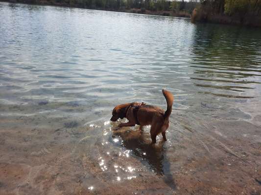 Fotochallenge 27-Beitrag-Bild