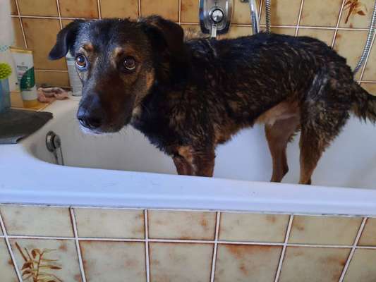 Fotochallenge 27-Beitrag-Bild