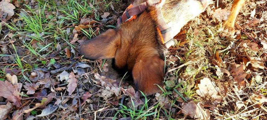 Challenge 21 - wo bin ich : )-Beitrag-Bild